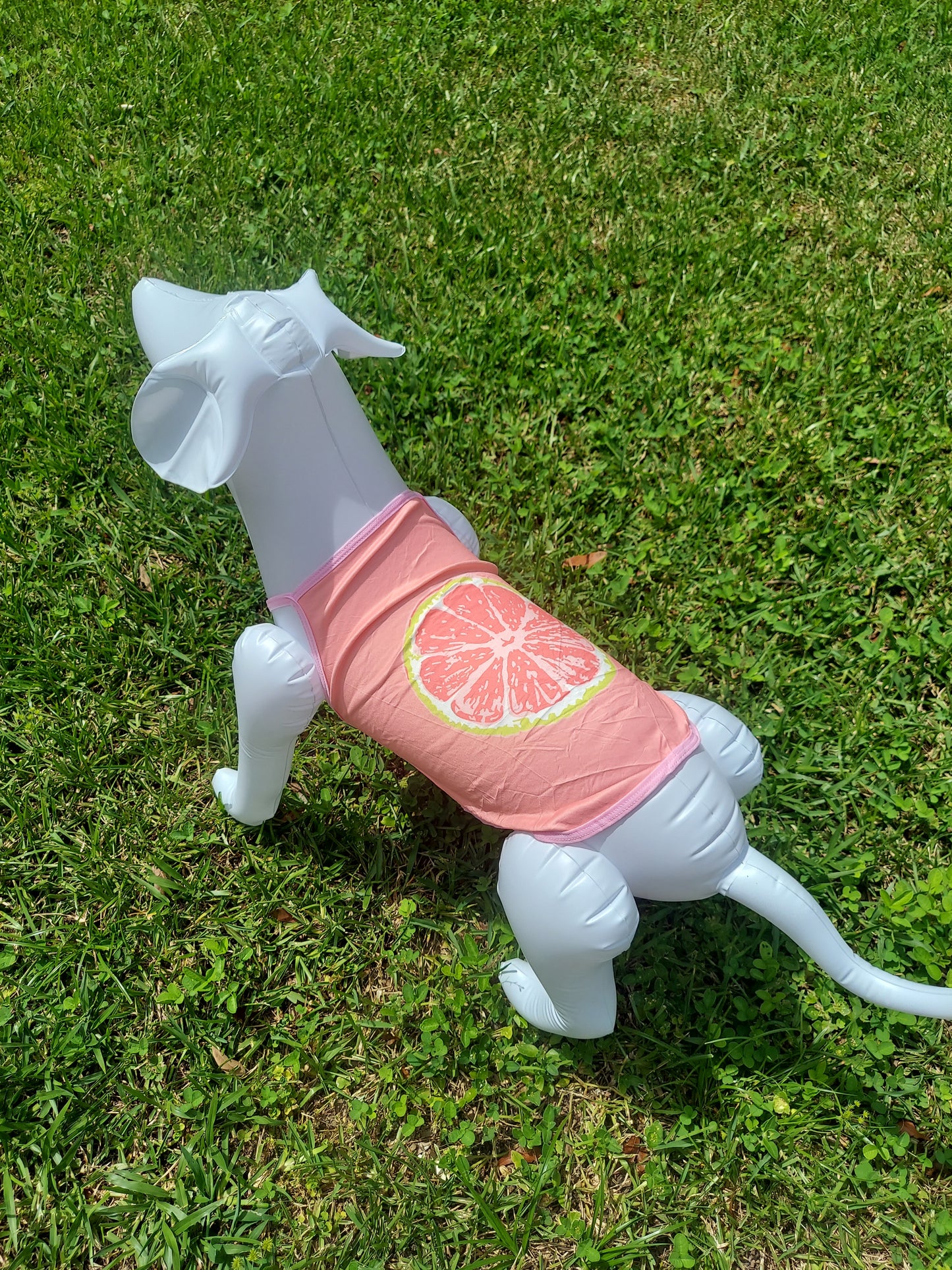 Sweet Citrus Pet Shirt