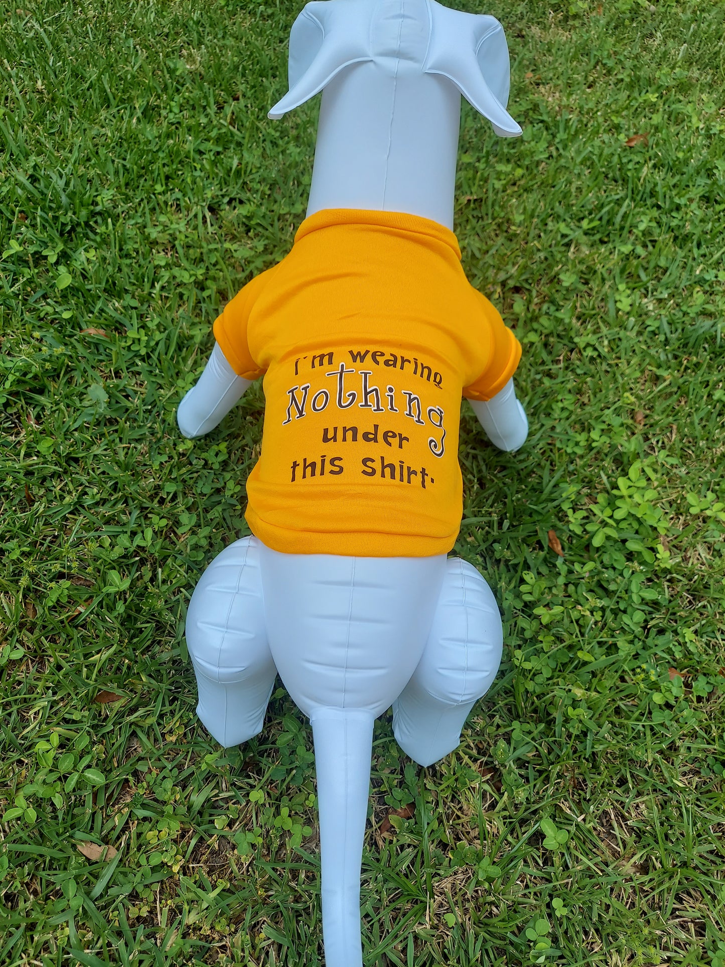 "I'm Wearing Nothing Under This Shirt"