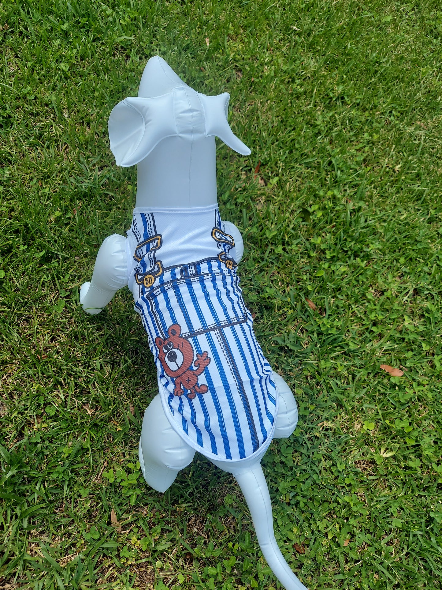 Little Bear Overalls Pet Shirt